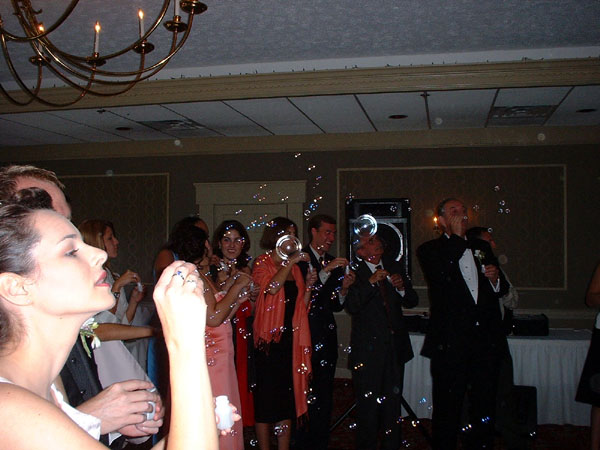 The Reception- Blowing bubbles.jpg 70.2K